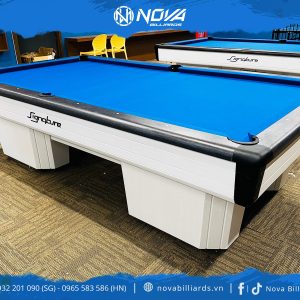 pool-signature-novabilliards (2)